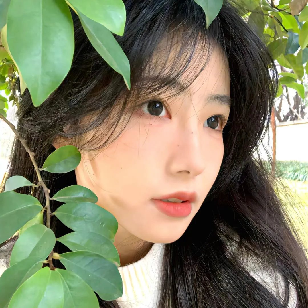 永恒之美
